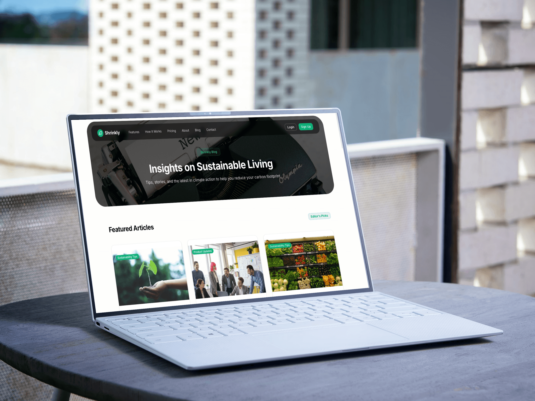 Laptop showing Shrinkly Blog