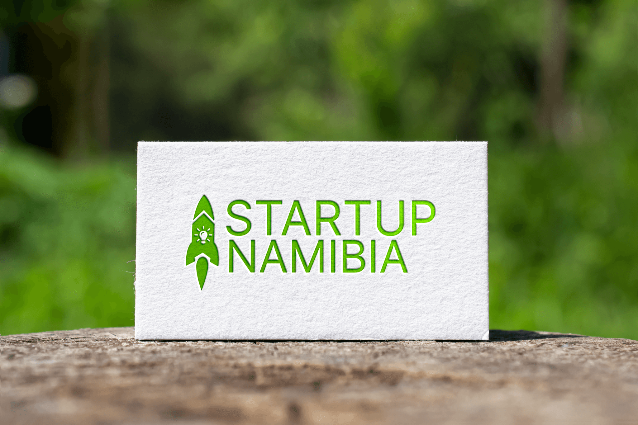 Startup Namibia Logo Design
