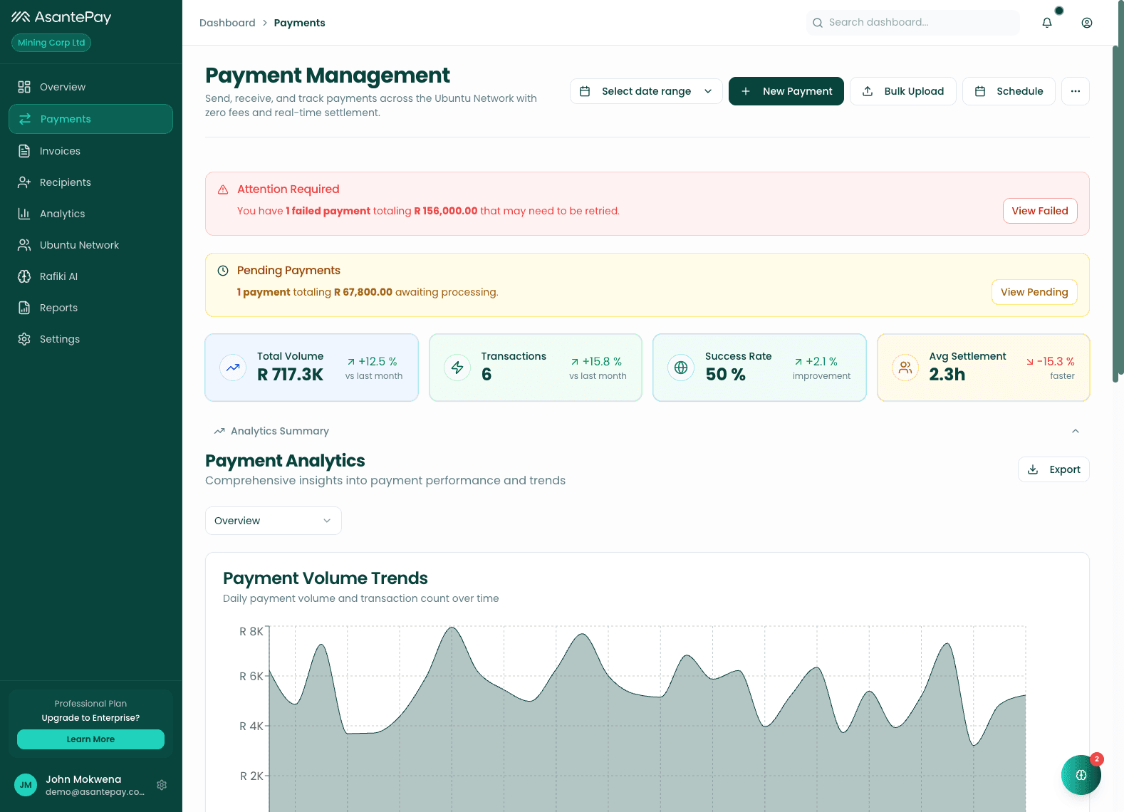 Payment management with analytics and transaction table